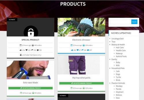 揭秘電商利基市場挖掘術(shù) 兩步精準打造你的2019年度爆款