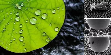 化纖不透氣？你媽覺得該這么穿，真不一定對！