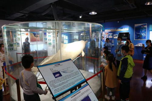 公告 關(guān)于12月30日 科普問答 答案公告