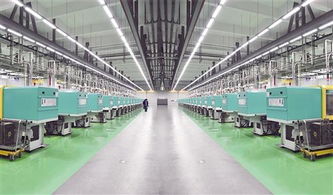 廈門為高技術 高成長 高附加值企業(yè)成長播撒甘露